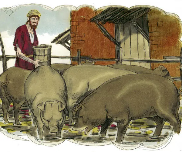 The lost son feeding pigs
