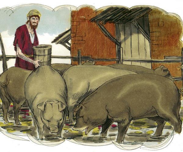The lost son feeding pigs